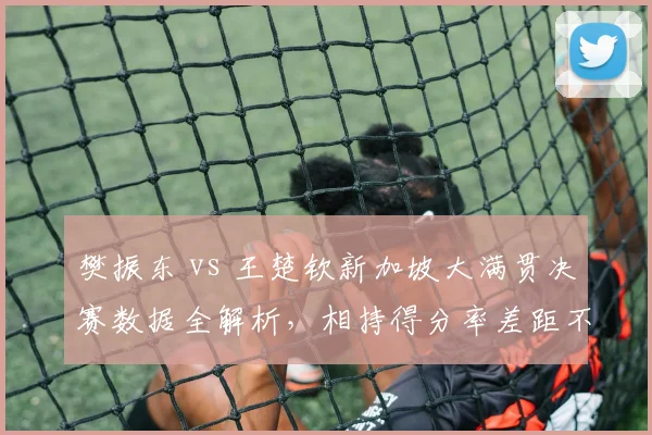 樊振东 vs 王楚钦新加坡大满贯决赛数据全解析，相持得分率差距不足3%