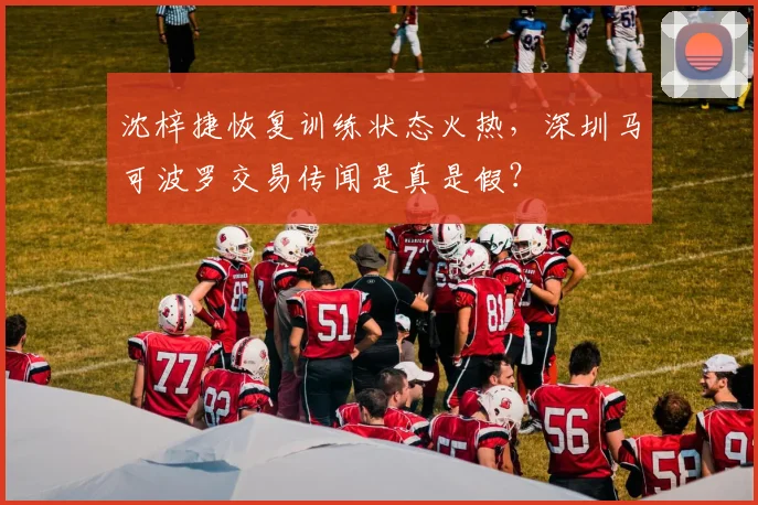沈梓捷恢复训练状态火热,深圳马可波罗交易传闻是真是假?